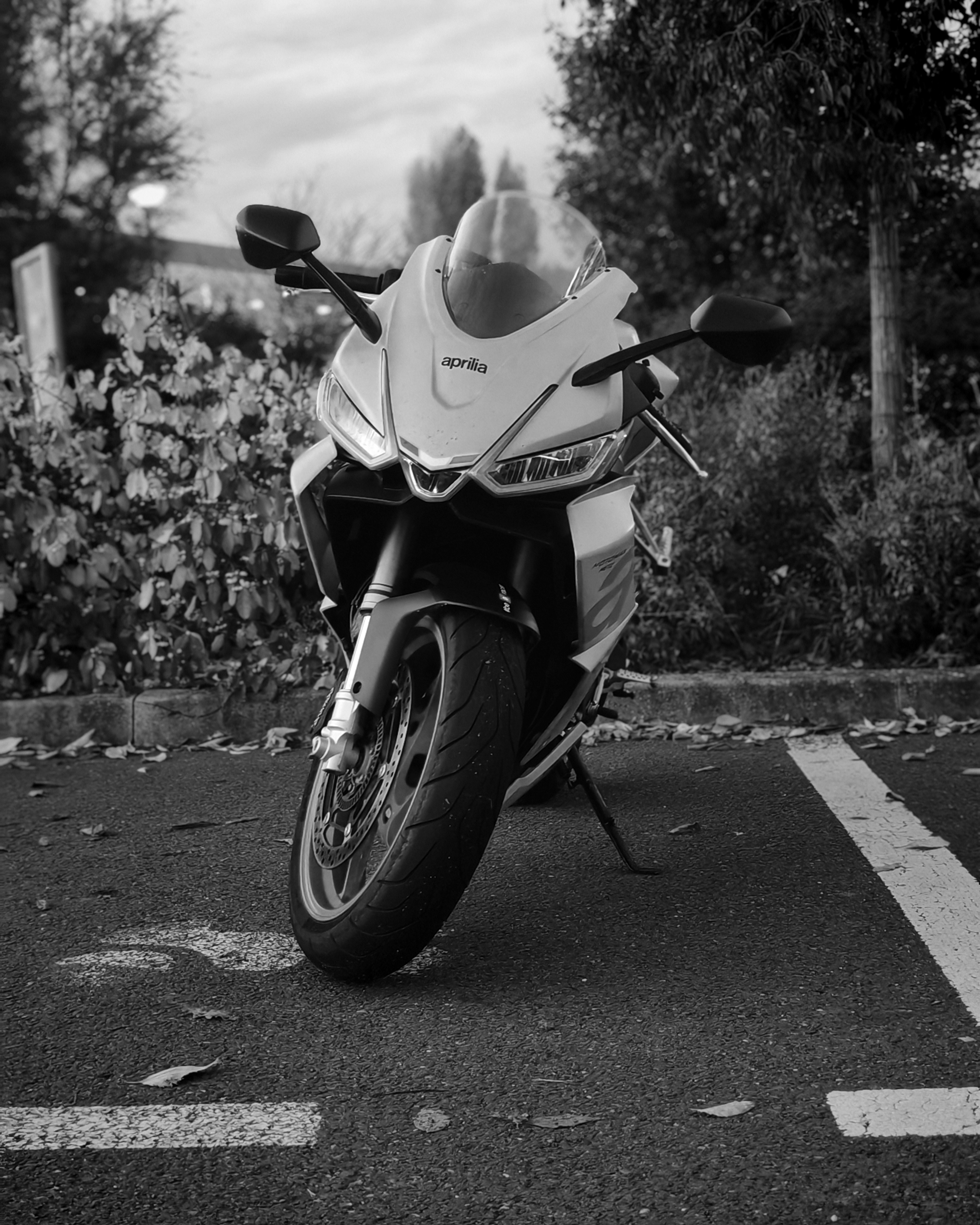APRILIA RS JAUNE